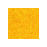Hexie Sunglow -81700-53